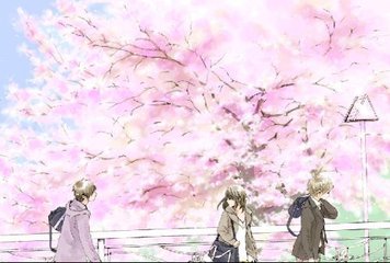 日韩砖码砖专码2024
